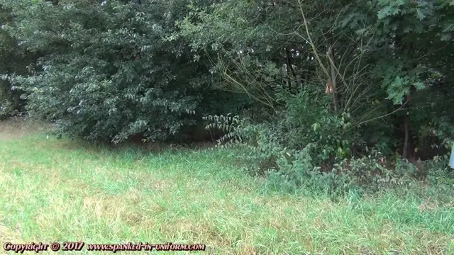 Poster: Spanked In Uniform – Law