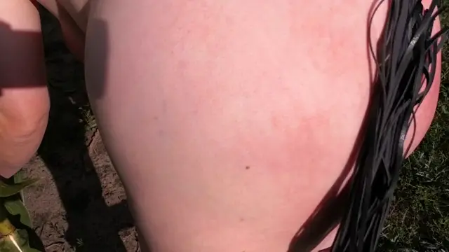 Poster: Whipping ass in corn field