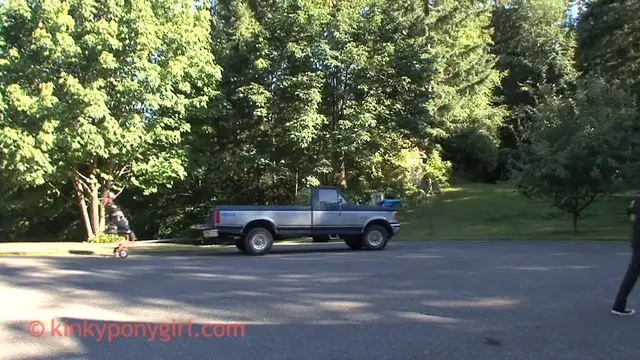 Poster: Ponygirl Saddle Fuck-2