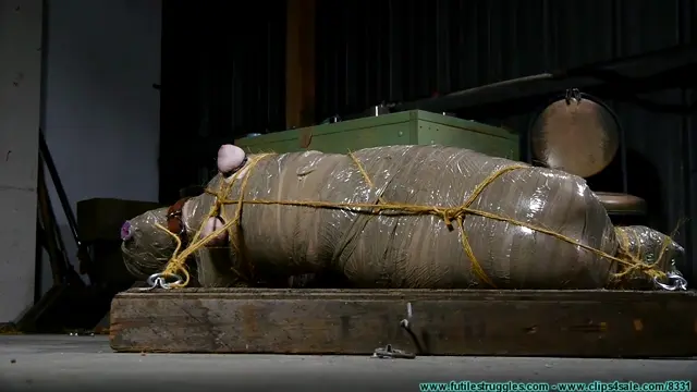 Poster: Diamondly Captured Mummified For Shipping - Part 4