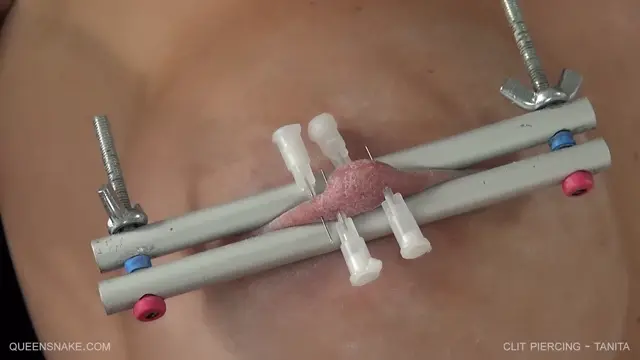 Poster: Queen Snake – Clit Piercing – Tanita 2017 June 24