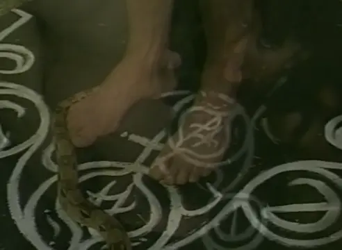 Poster: Weird Fuckin Sex #3, Scene 8 -