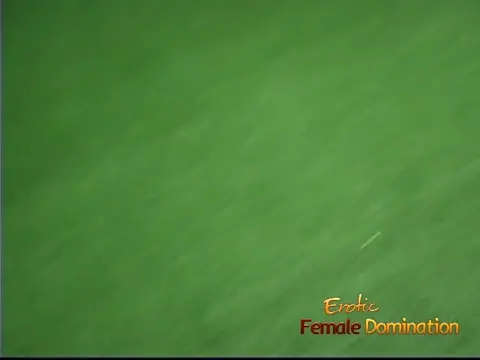 Poster: Cosplay fetish with busty blonde