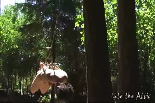 Poster: IntoTheAttic 0043 ZaydaJ RT0-08.2008Jul16