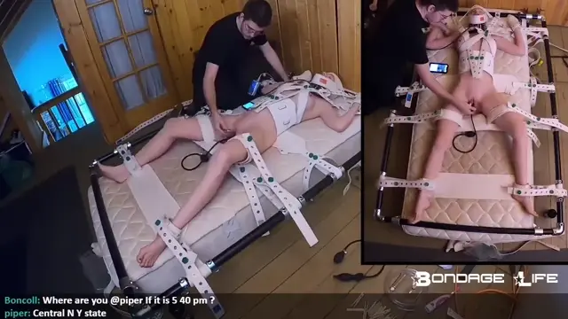 Poster: The Segufix Challenge - Greyhound