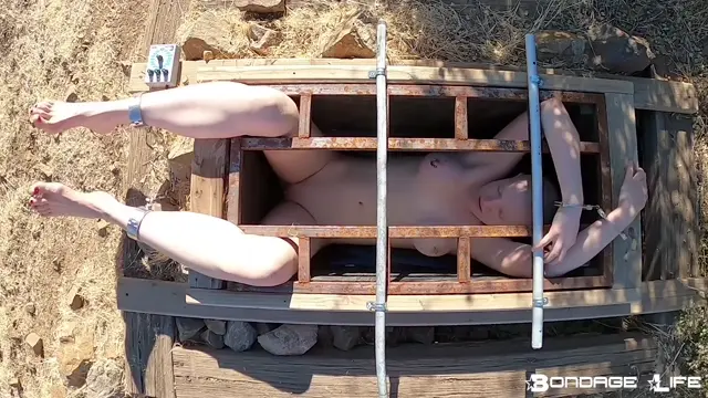 Poster: BondageLife - Enjoying Some Sunshine Rachel Greyhound