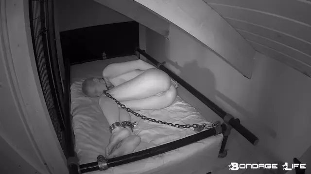 Poster: Bondage Life – Quiet Time With Greyhound