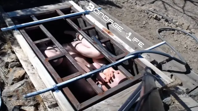 Poster: BondageLife – Greyhound Gets The Box – 8/26/2019