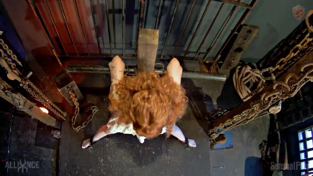 Poster: SensualPain – May 12, 2019: Acquired Redhead: DS Mind Managing | Abigail Dupree