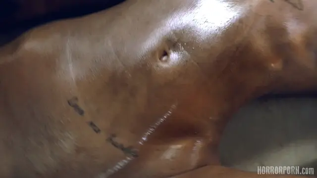 Poster: The beast from the woods 4k