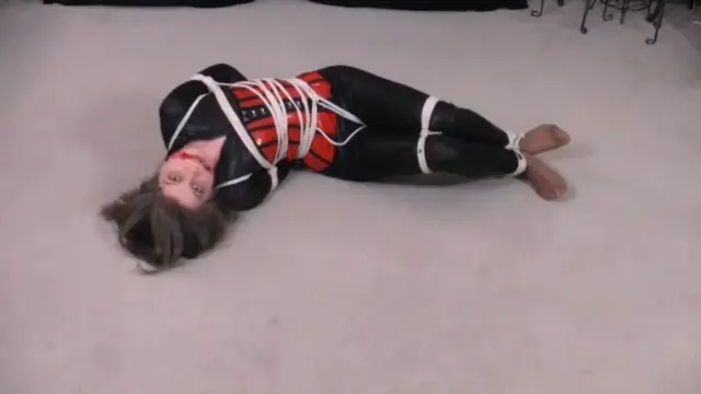 Poster: MISCHIEFVID526Victoria Prowler Interupted