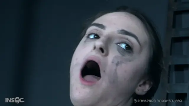 Poster: RealTimeBondage – Jan 5, 2019: the orifice Part 3 | Luci Lovett