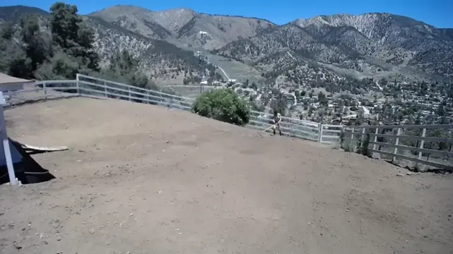 Poster: BondageLife - Yard Maintenance (Dirt Edition) - Rachel Greyhound