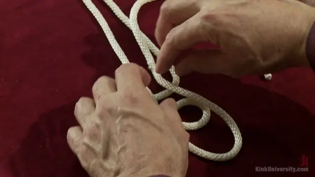 Poster: Decorative Bondage and Hair Ties