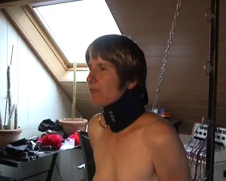 Poster: Nickys Education – Spanish Horse And More.mpg