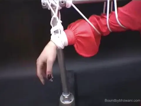 Poster: The Puppet Master