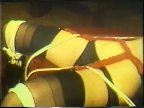 Poster: TAO Collectors Series 10