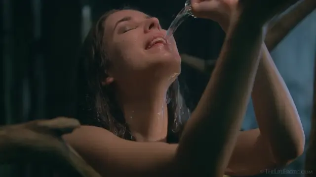 Poster: The Hut In The Forest 2