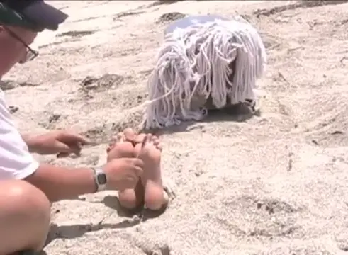 Poster: Burried toetied and tickled