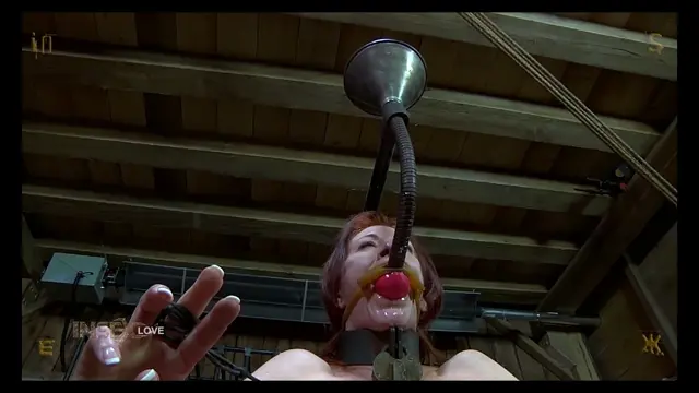 Poster: Insex – Piss Bucket – Catherine de Sade 2021-12-22