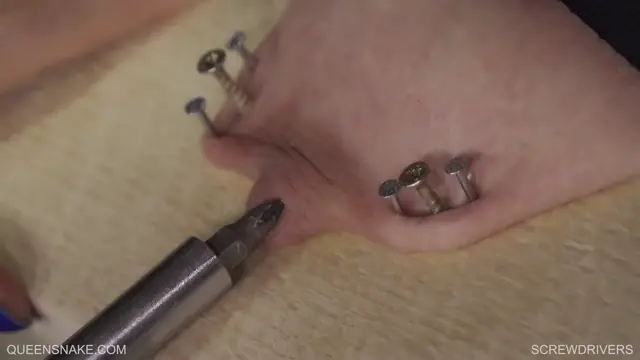 Poster: QueenSnake - SCREWDRIVERS 2020 July 18