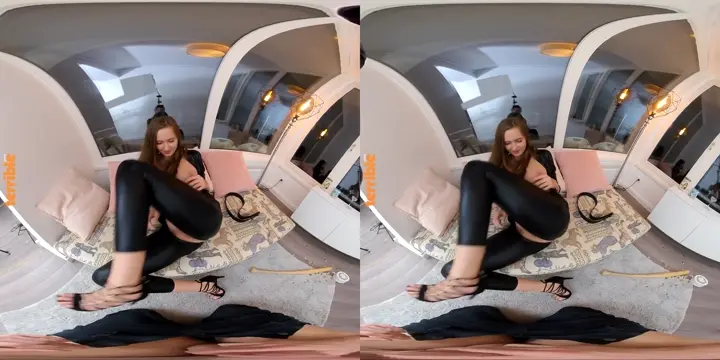 Poster: The Cat Burglar