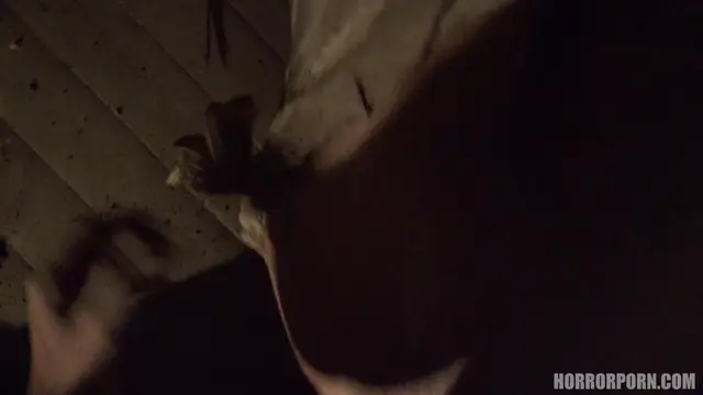 Poster: HorrorPorn – The Girl in the Cage