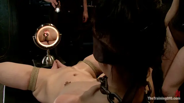 Poster: Training Katherine Cane - Day 3